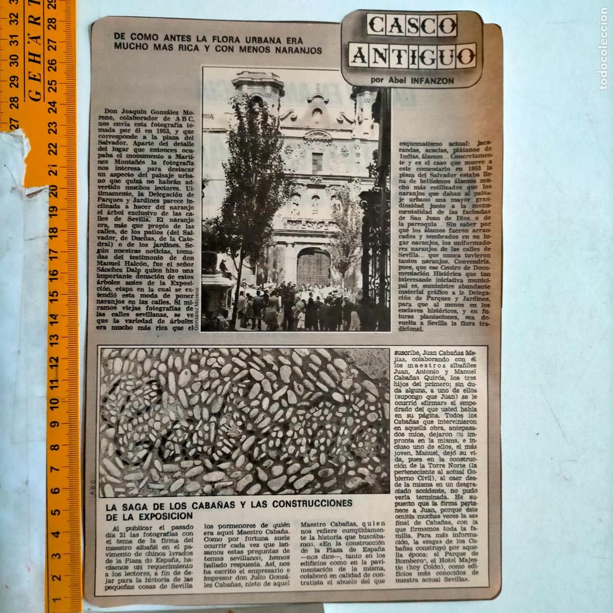 Coleccionismo de Revistas y Peri&oacute;dicos: NOTICIA SEVILLA CASCO ANTIGUO ANTONIO BURGOS - FLORA NARANJOS - SAGA DE LOS CABA&Ntilde;AS EXPOSICION