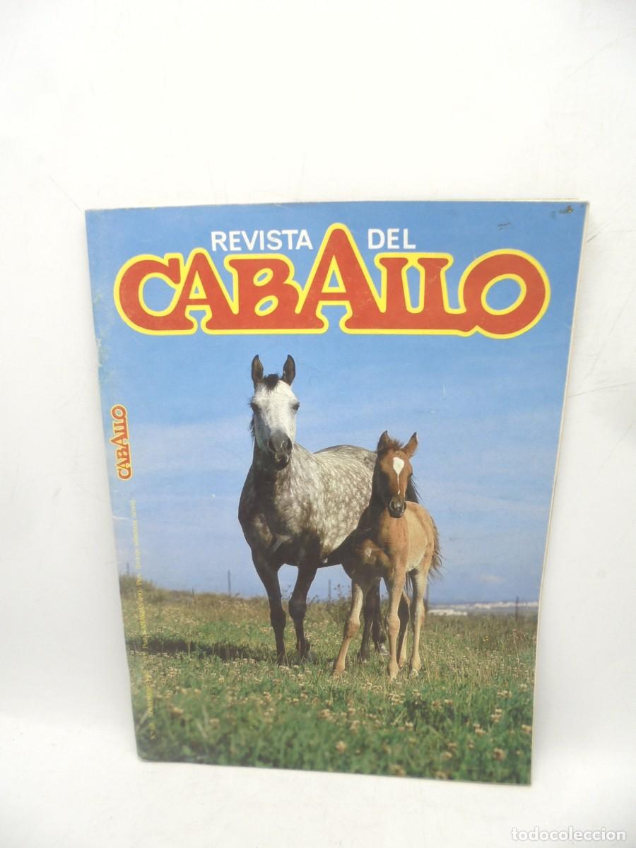Collection Magazines and Newspapers: REVISTA DEL CABALLO. N&ordm; 60. 1987. PESTE EQUINA. ARABES. REAL ESCUELA ANDALUZA DEL ARTE ECUESTRE.