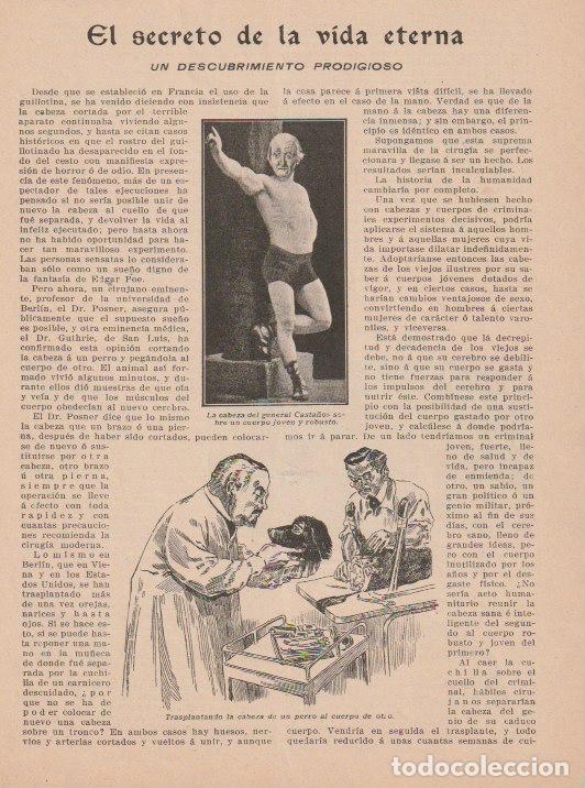 Collezionismo di Riviste e Giornali: El secreto de la vida eterna: un descubrimiento prodigioso - 1906