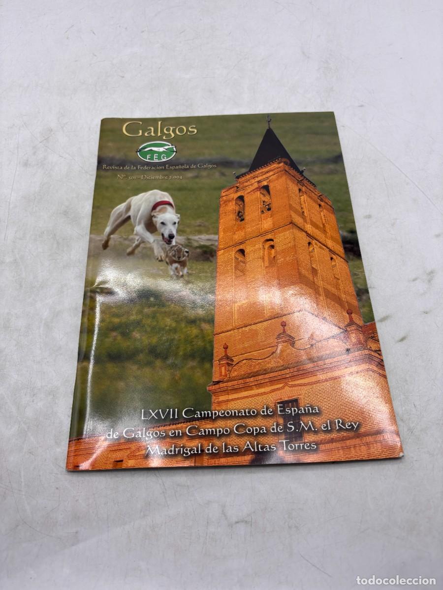 Coleccionismo de revistas y peri&oacute;dicos: GALGOS. REVISTA DE FEDERACI&Oacute;N ESPA&Ntilde;OLA DE GALGOS. N&ordm; 501. DICIEMBRE 2004. LXVII CAMPEONATO DE ESPA&Ntilde;A