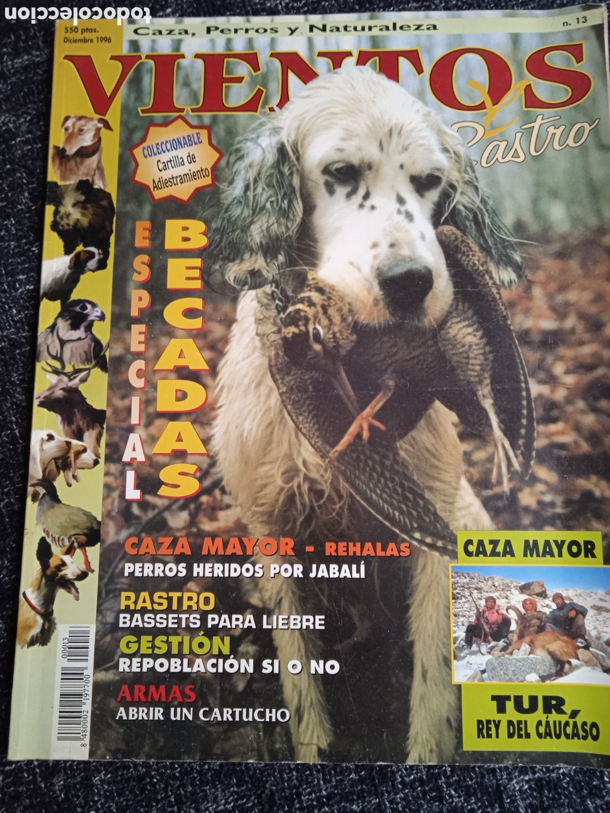 Collection Magazines and Newspapers: REVISTA DE CAZA - VIENTOS Y RASTROS N&ordm; 13 ( PERROS DE CAZA )