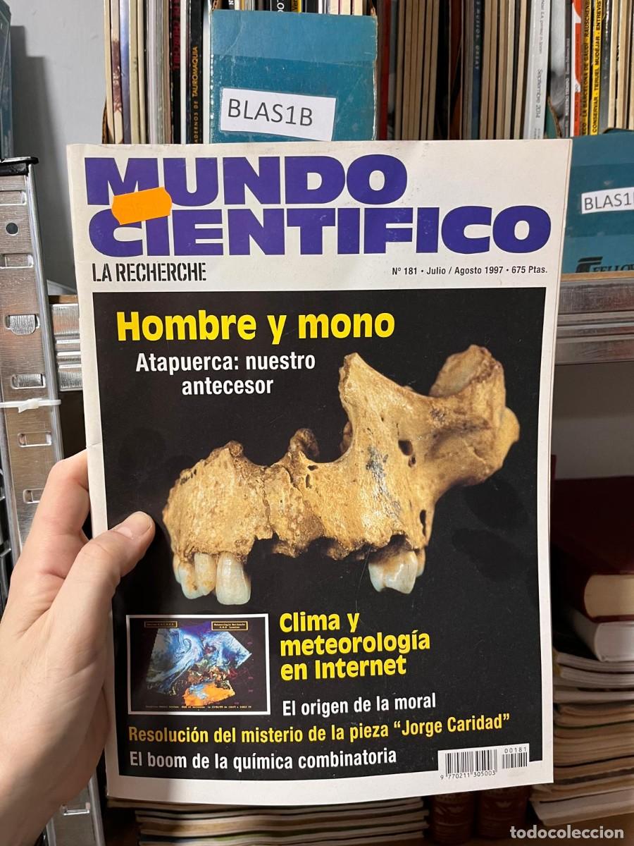 Coleccionismo de Revistas y Peri&oacute;dicos: BLAS1B INVESTIGACION Y CIENCIA, 181 1997 JULIO AGOSTO HOMBRE Y MONO, ATAPUERCA, CLIME EN INTERNET