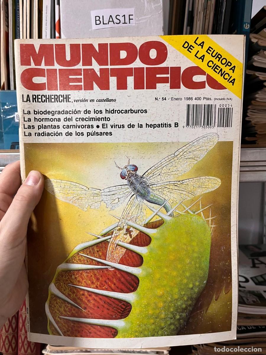 Coleccionismo de Revistas y Peri&oacute;dicos: BLAS1F MUNDO CIENTIFICO 54 ENERO 1985 BIODEGRADACION HIDROCARBUROS, HORMONA CRECIMIENTO, PLANTAS CAR