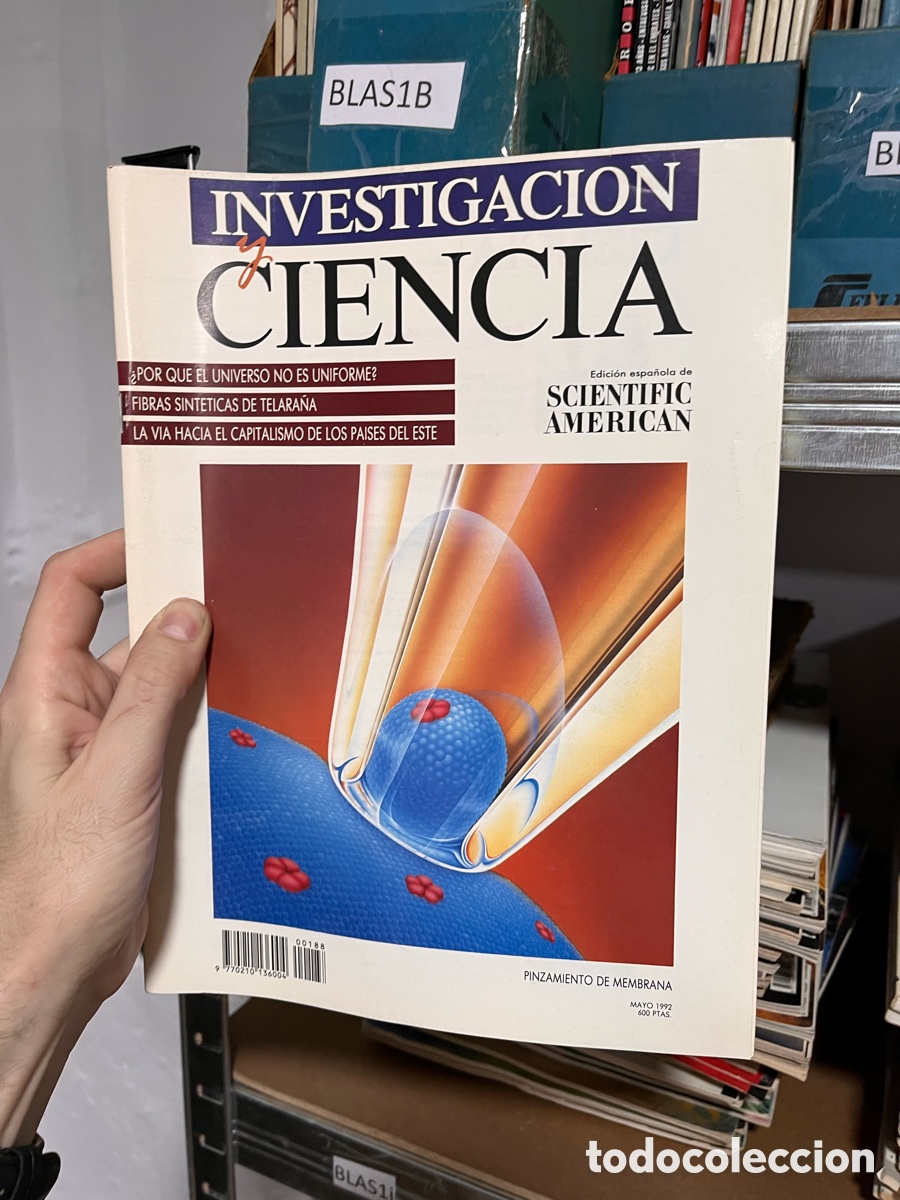 Coleccionismo de Revistas y Peri&oacute;dicos: BLAS1B INVESTIGACION Y CIENCIA, mayo 1992 &iquest;POR QUE EL UNIVERSO NO ES UNIFORME?