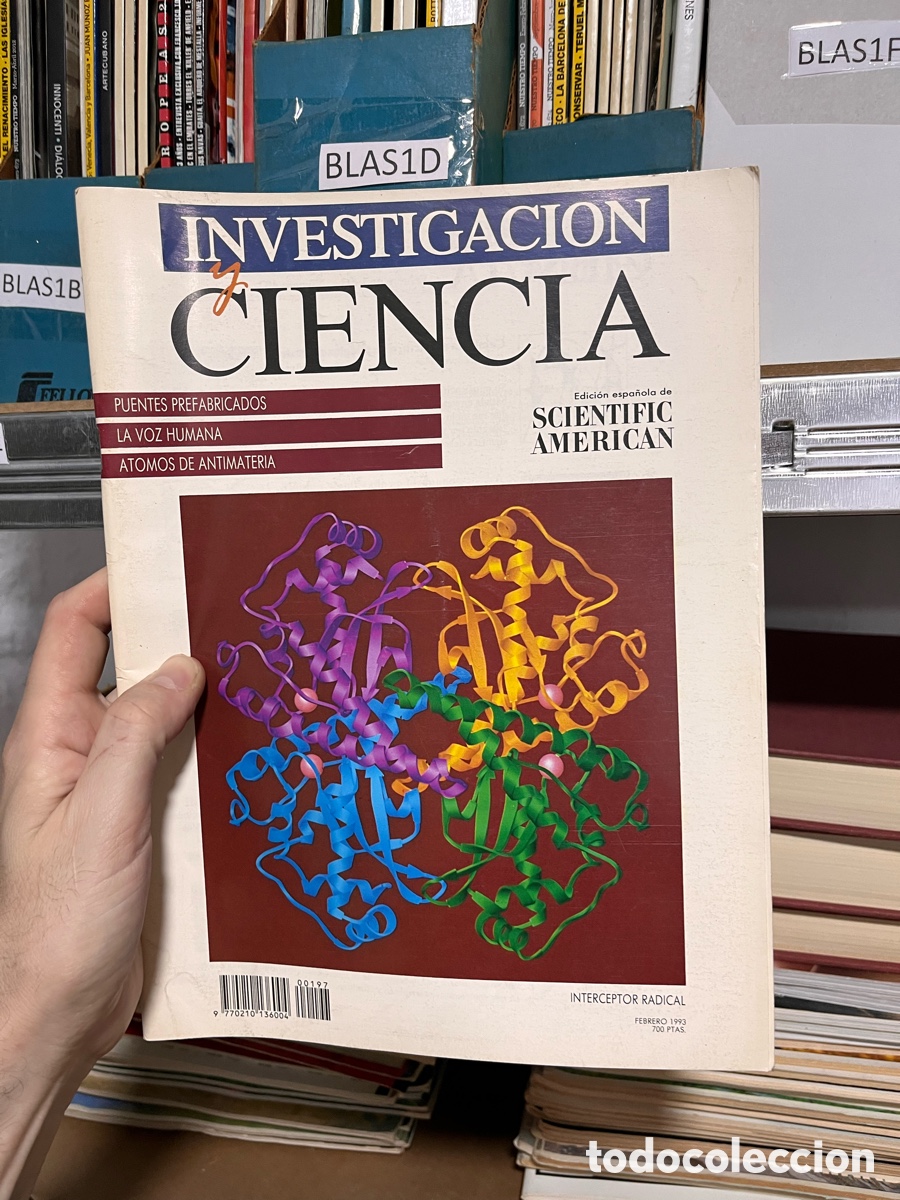Coleccionismo de Revistas y Peri&oacute;dicos: BLAS1D INVESTIGACION Y CIENCIA, febrero 1993 PUENTES PREFABRICADOS, LA VOZ HUMANA