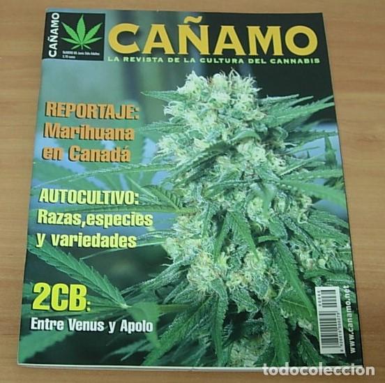 Coleccionismo de Revistas y Peri&oacute;dicos: Revista CA&Ntilde;AMO n&ordm; 66 La Revista de la Cultura del Cannabis Junio 2003 Excelente
