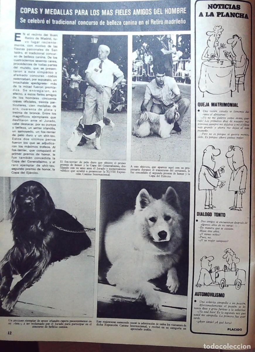 Coleccionismo de Revistas y Peri&oacute;dicos: perros de campeonato joya de myrurgia