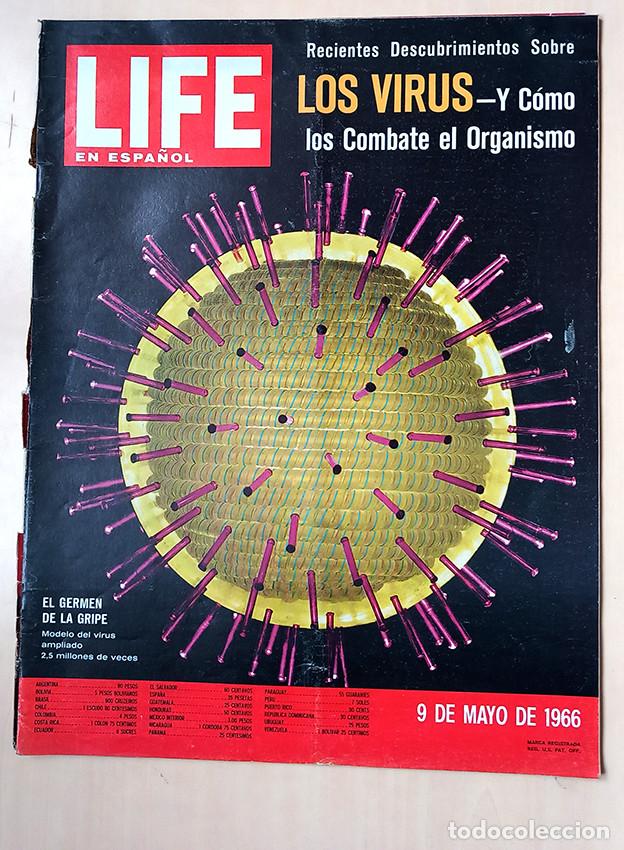 Coleccionismo de Revistas y Peri&oacute;dicos: Don Quijote &iquest;C&oacute;mo son los virus? Divorcio Pek&iacute;n-Mosc&uacute;. Viuda de Mussolini. Life espa&ntilde;ol 1966