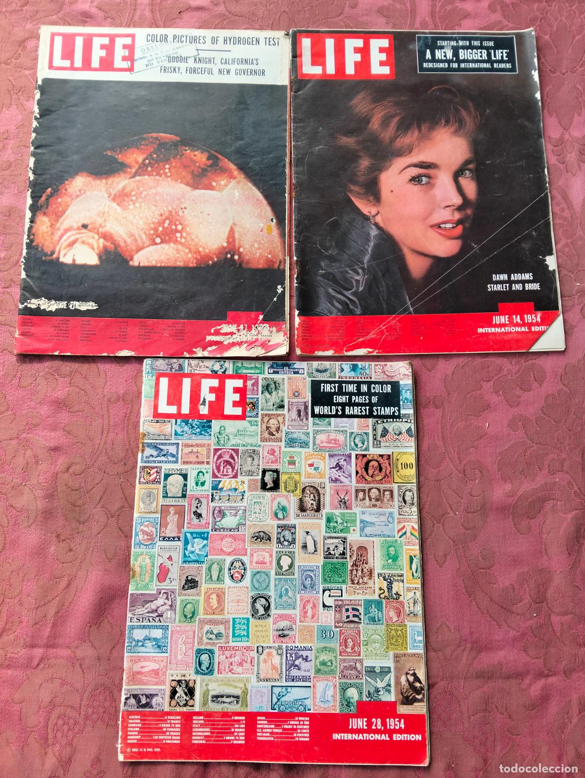 Collection Magazines and Newspapers: Lote revistas Life a&ntilde;os 50 1954 june 14 june 28