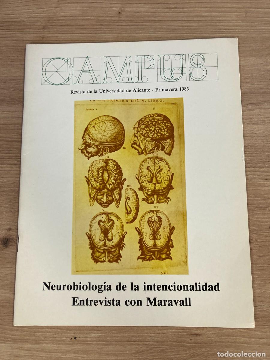 Coleccionismo de Revistas y Peri&oacute;dicos: Campus Revista de la Universidad de Alicante Primavera 1983