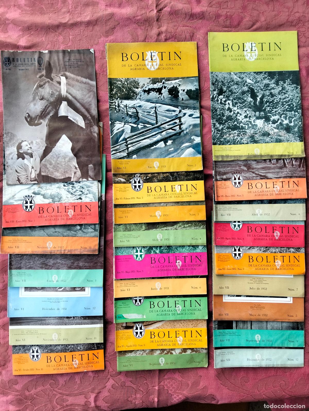 Coleccionismo de Revistas y Peri&oacute;dicos: Lote revistas bolet&iacute;n de la c&aacute;mara oficial sindical agraria de Barcelona a&ntilde;os 50