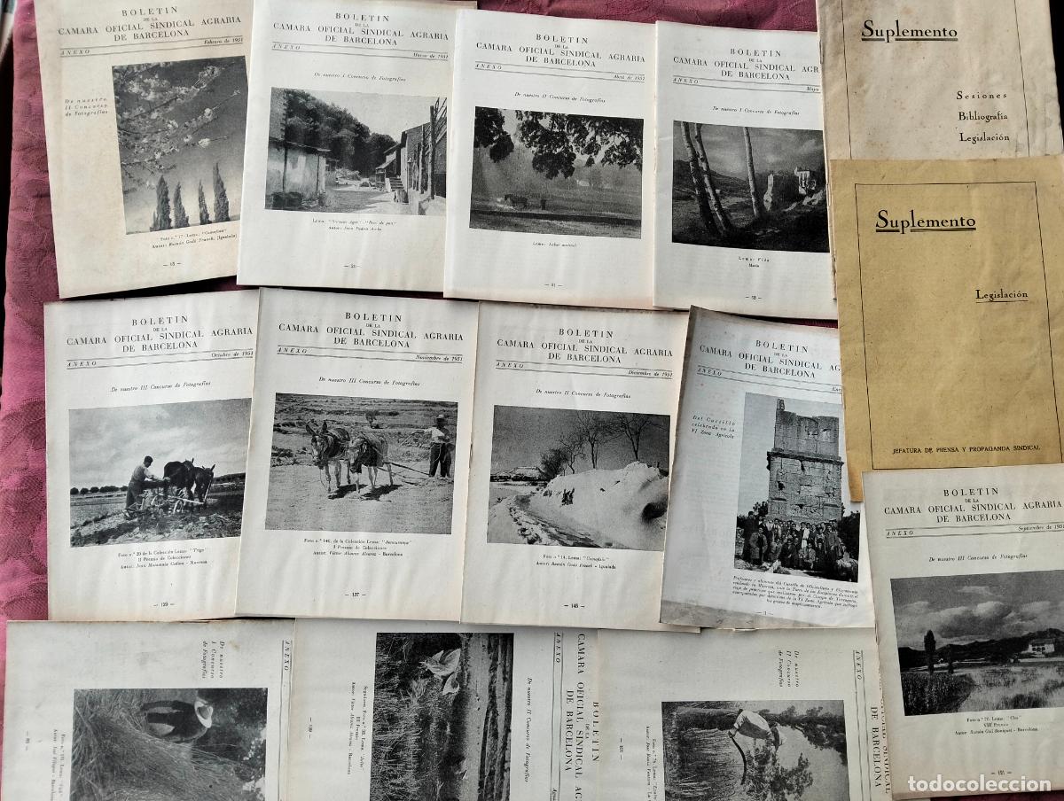 Collection Magazines and Newspapers: Lote revistas a&ntilde;os 50 Bolet&iacute;n de la camara oficial sindical agraria de Barcelona
