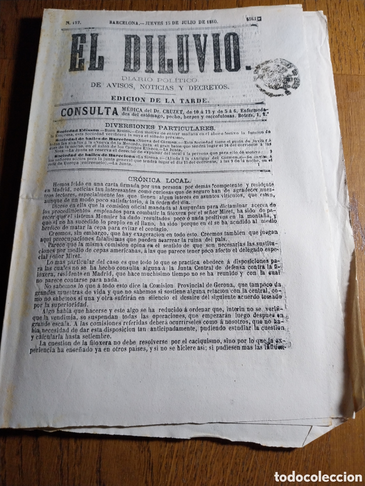 Coleccionismo de Revistas y Peri&oacute;dicos: EL DILUVIO 1880 VIAJE POR RIPOLL. FILOXERA EN CANTALLOPS Y CAMPMANY