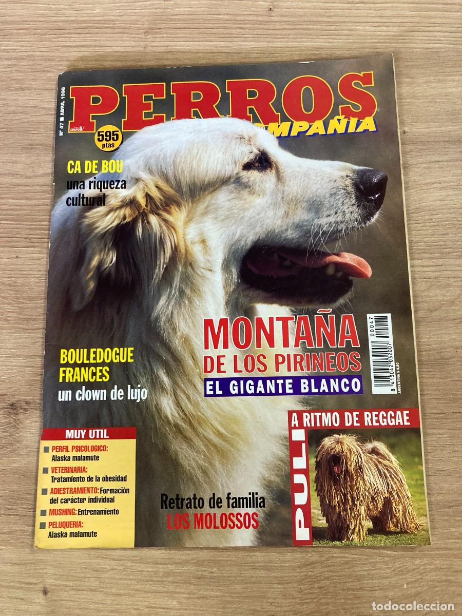 Coleccionismo de Revistas y Peri&oacute;dicos: Revista Perros y compa&ntilde;&iacute;a N&uacute;mero 47