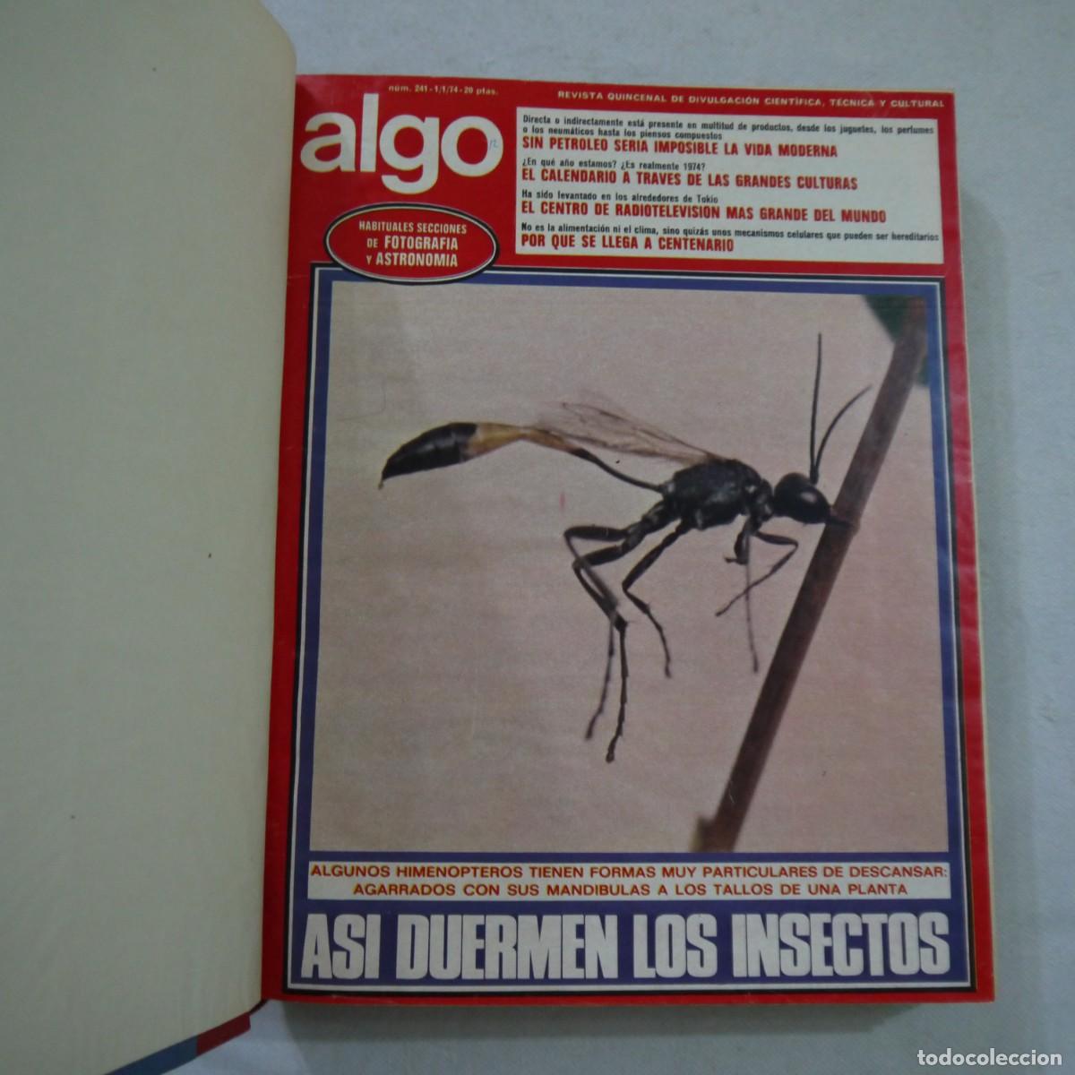 Coleccionismo de Revistas y Peri&oacute;dicos: REVISTA ALGO. TOMO CON 24 REVISTAS CON EL A&Ntilde;O 1974 COMPLETO - ENCUADERNACI&Oacute;N ARTESANAL