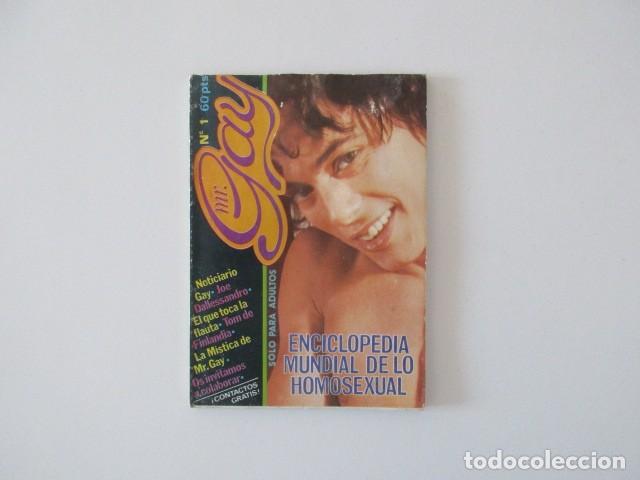 Collection Magazines and Newspapers: MR. GAY N&ordm; 1 - 1978 - JOE DALLESSANDRO - TOM FINLANDIA - CONTACTOS ETC. - MEMORIA LGTB - CULTURA GAY