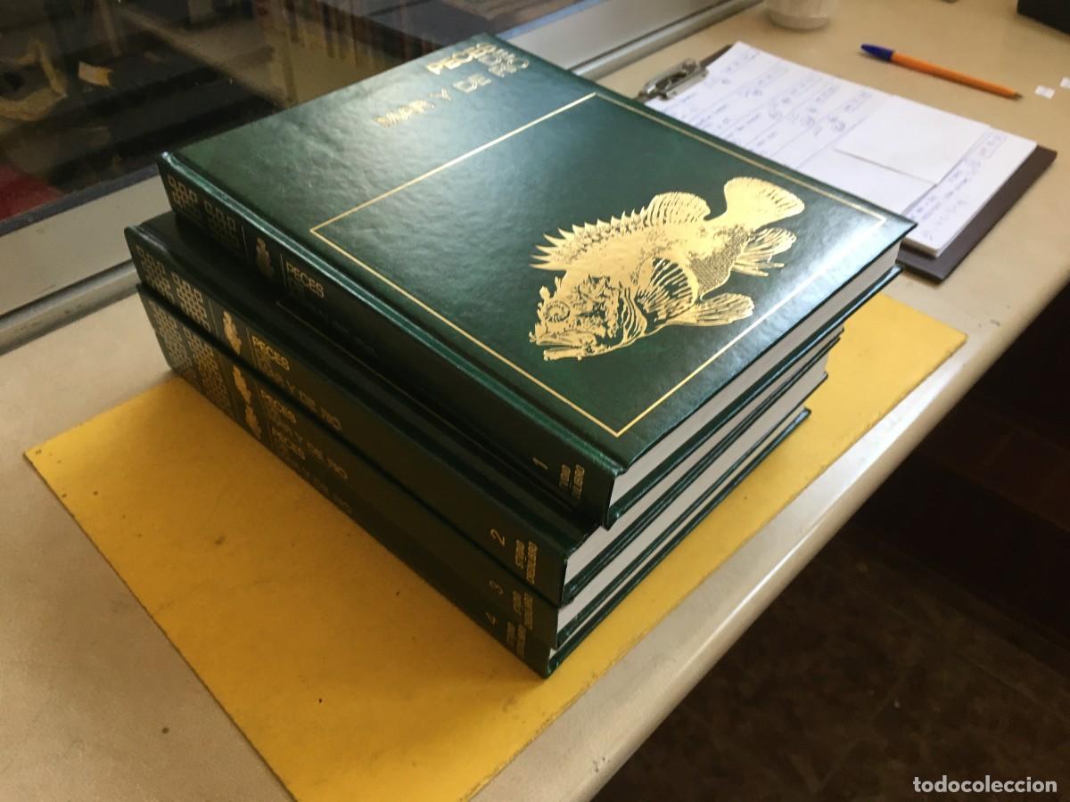 Coleccionismo de Revistas y Peri&oacute;dicos: PECES DE MAR Y RIO COMPLETA 4 TOMOS (VER ULTIMA FOTO) STUDIO CREDILIBRO URMO EDICIONES A&Ntilde;O 1975