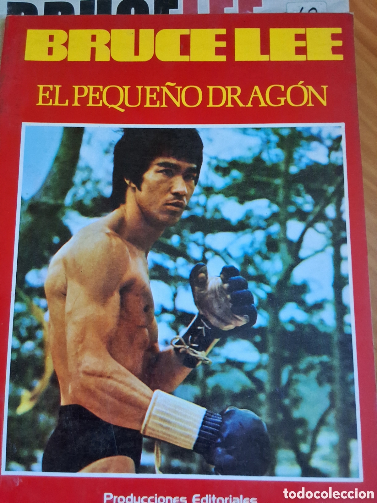 Coleccionismo de Revistas y Peri&oacute;dicos: Bruce lee el peque&ntilde;o dragon libro revista a&ntilde;o 1978
