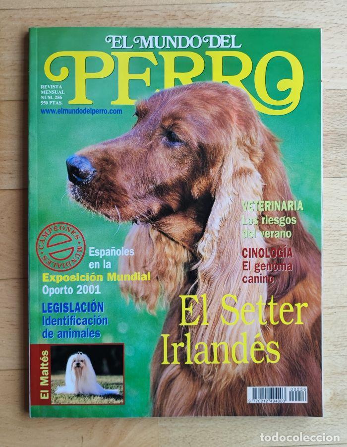 Coleccionismo de revistas y peri&oacute;dicos: REVISTA 'EL MUNDO DEL PERRO'. N&ordm; 256