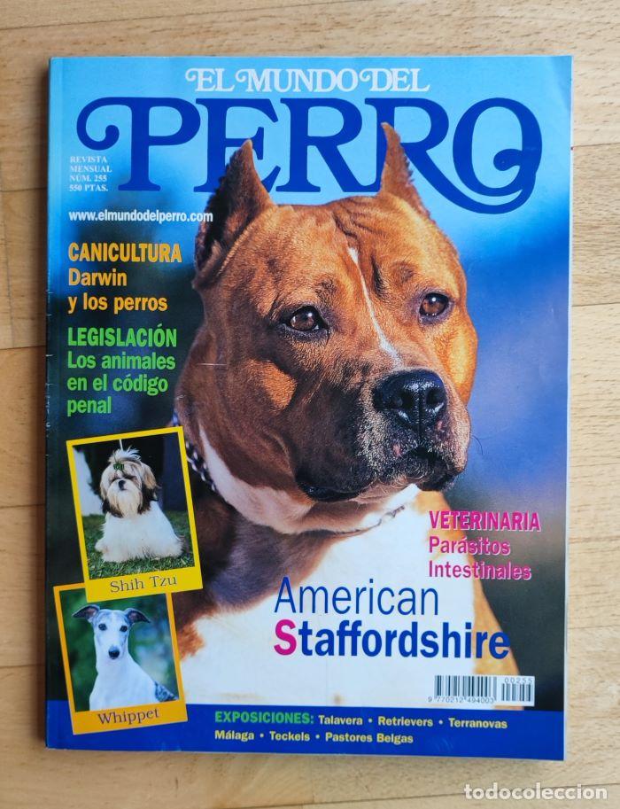 Coleccionismo de revistas y peri&oacute;dicos: REVISTA 'EL MUNDO DEL PERRO'. N&ordm; 255