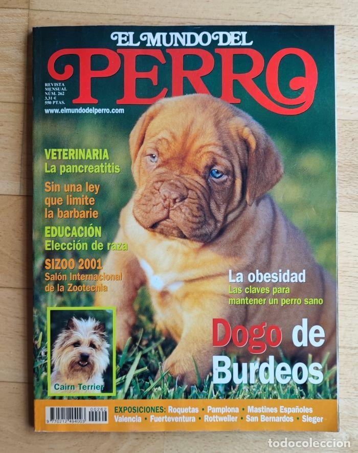 Coleccionismo de revistas y peri&oacute;dicos: REVISTA 'EL MUNDO DEL PERRO'. N&ordm; 262