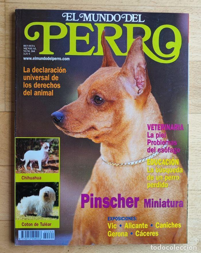 Coleccionismo de revistas y peri&oacute;dicos: REVISTA 'EL MUNDO DEL PERRO'. N&ordm; 264