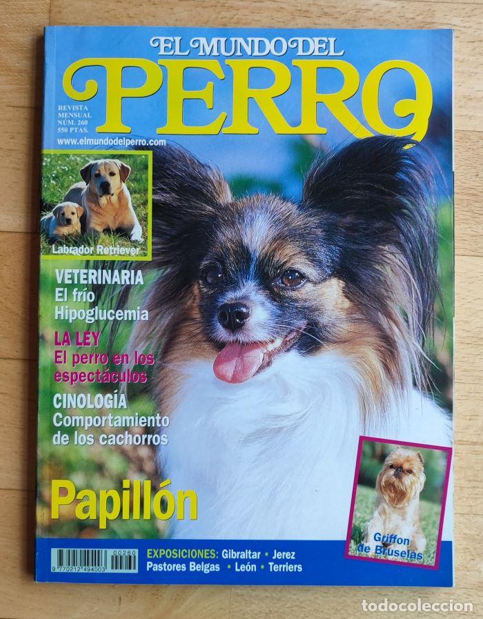 Coleccionismo de revistas y peri&oacute;dicos: REVISTA 'EL MUNDO DEL PERRO'. N&ordm; 260