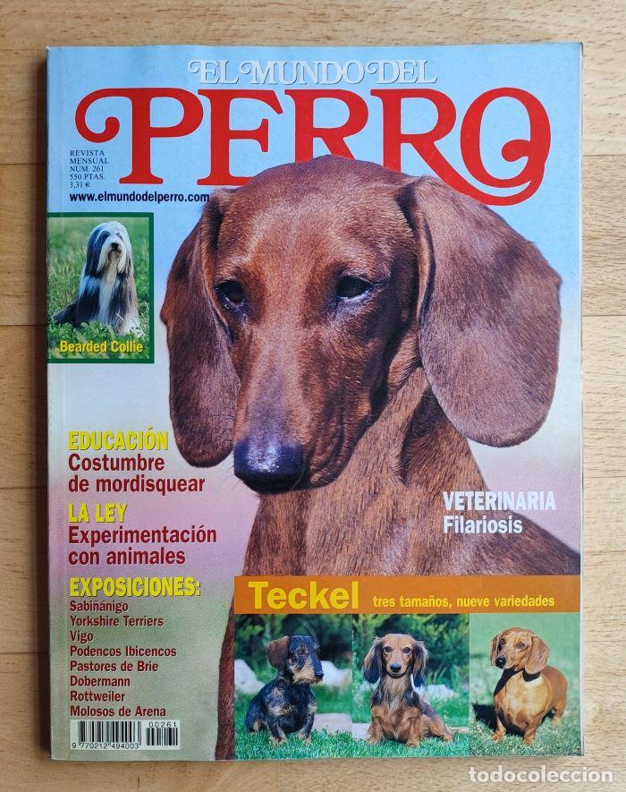 Coleccionismo de revistas y peri&oacute;dicos: REVISTA 'EL MUNDO DEL PERRO'. N&ordm; 261