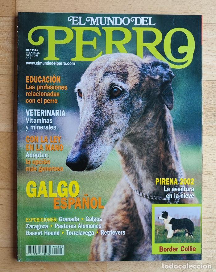 Coleccionismo de revistas y peri&oacute;dicos: REVISTA 'EL MUNDO DEL PERRO'. N&ordm; 265