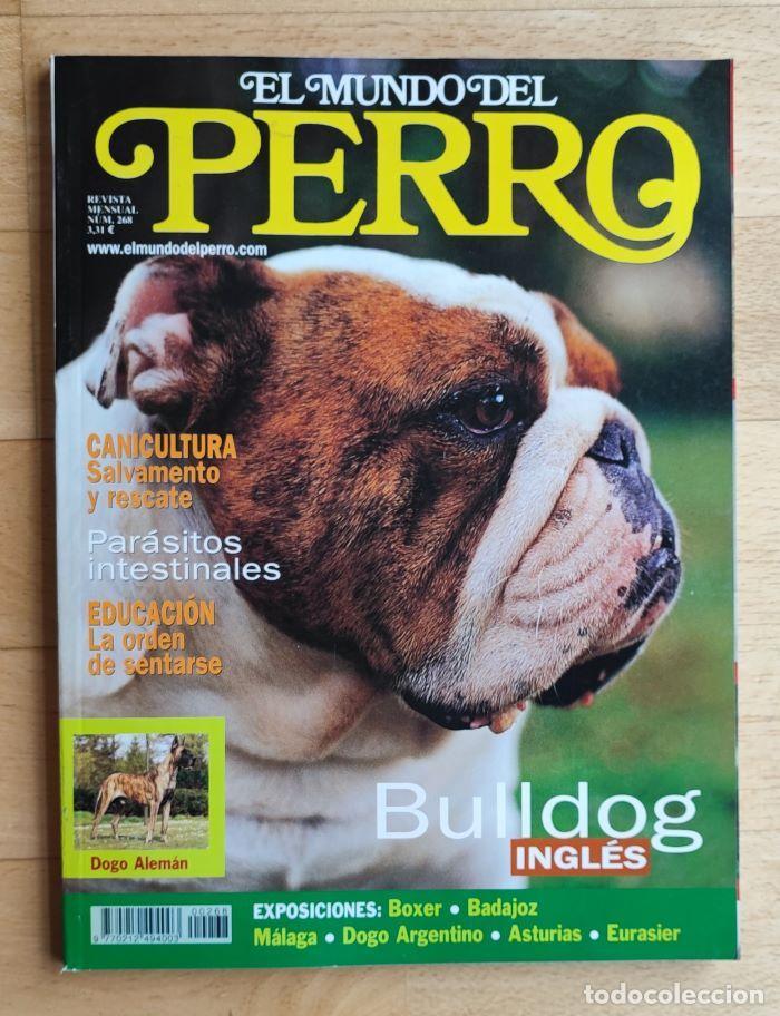 Coleccionismo de revistas y peri&oacute;dicos: REVISTA 'EL MUNDO DEL PERRO'. N&ordm; 268