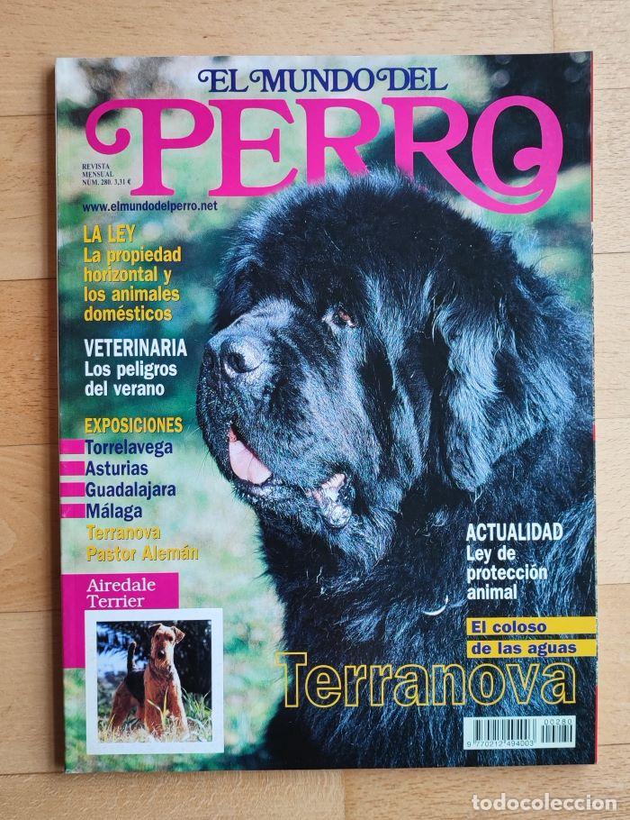 Coleccionismo de revistas y peri&oacute;dicos: REVISTA 'EL MUNDO DEL PERRO'. N&ordm; 280