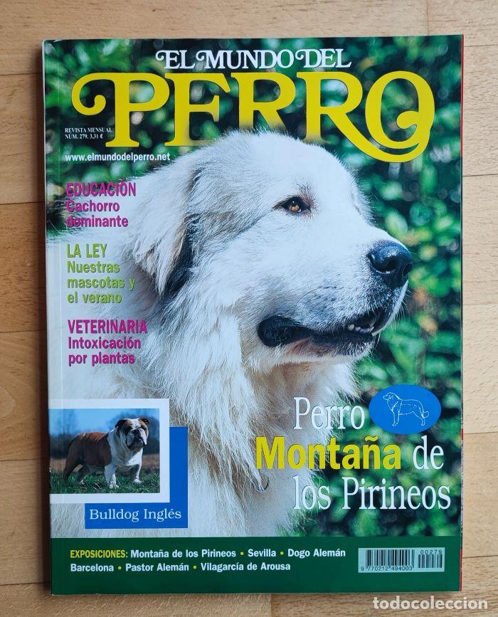 Coleccionismo de revistas y peri&oacute;dicos: REVISTA 'EL MUNDO DEL PERRO'. N&ordm; 279