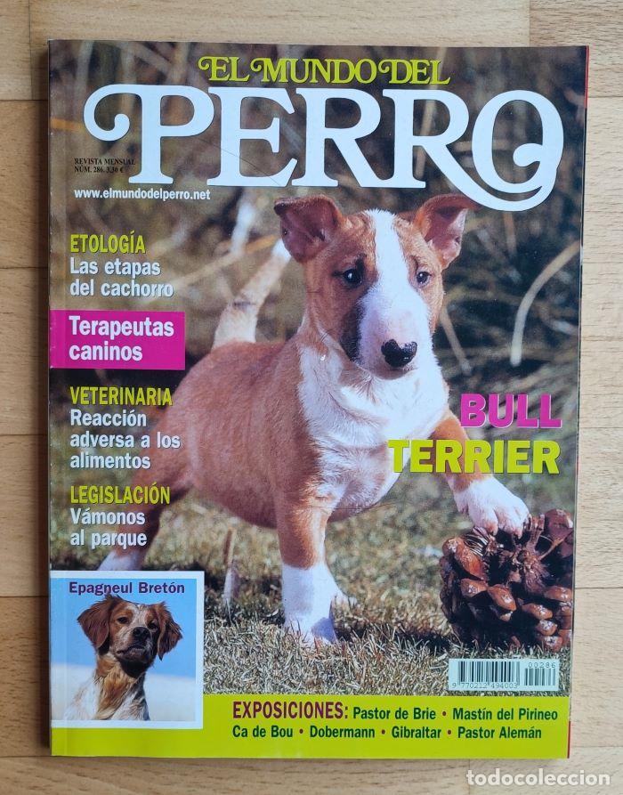 Coleccionismo de revistas y peri&oacute;dicos: REVISTA 'EL MUNDO DEL PERRO'. N&ordm; 286