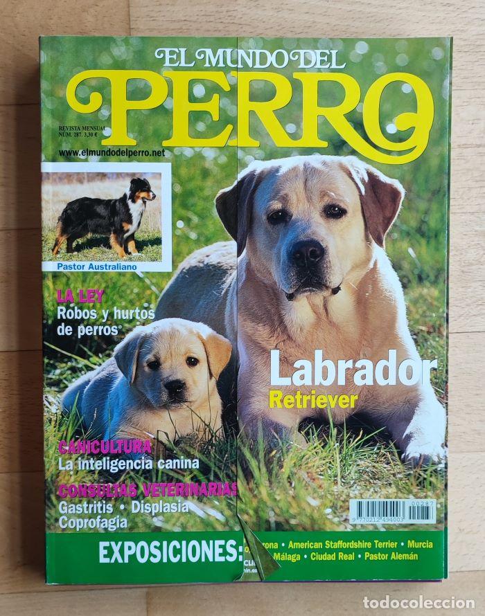 Coleccionismo de revistas y peri&oacute;dicos: REVISTA 'EL MUNDO DEL PERRO'. N&ordm; 287