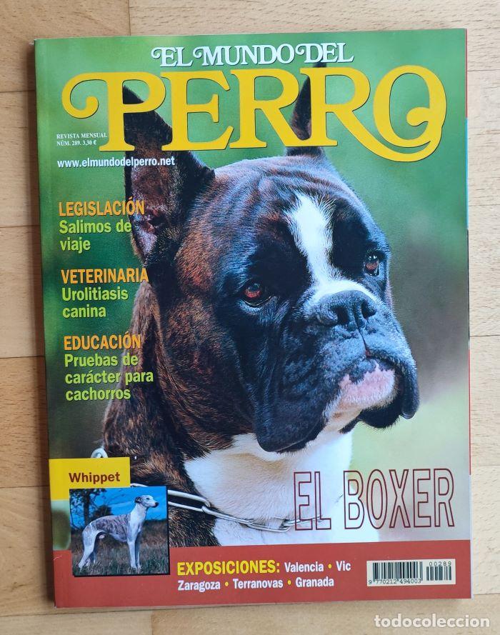 Coleccionismo de Revistas y Peri&oacute;dicos: REVISTA 'EL MUNDO DEL PERRO'. N&ordm; 289