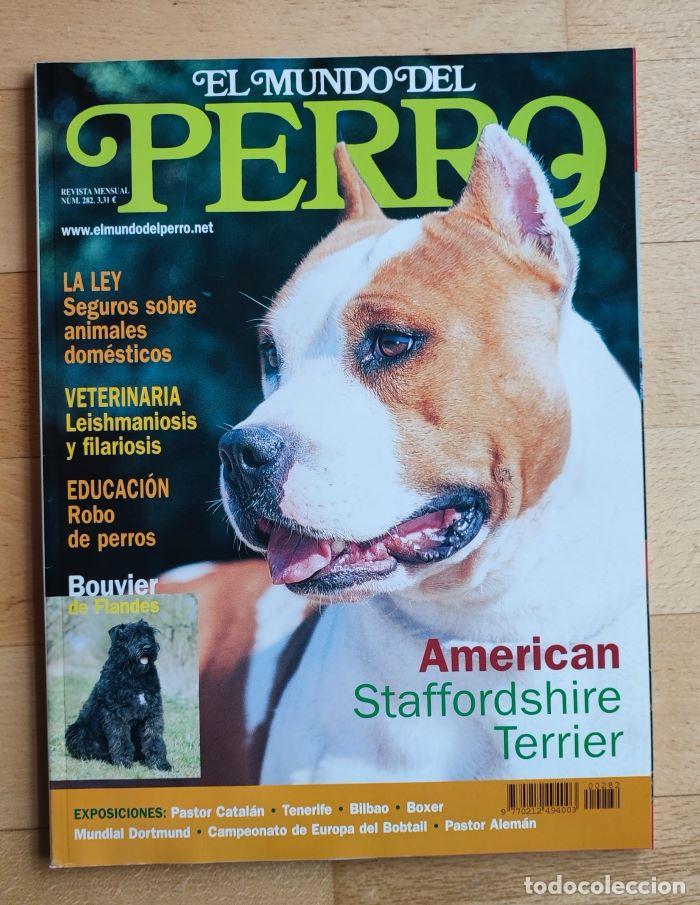 Coleccionismo de Revistas y Peri&oacute;dicos: REVISTA 'EL MUNDO DEL PERRO'. N&ordm; 282