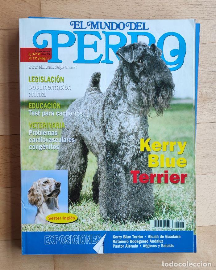 Coleccionismo de Revistas y Peri&oacute;dicos: REVISTA 'EL MUNDO DEL PERRO'. N&ordm; 290