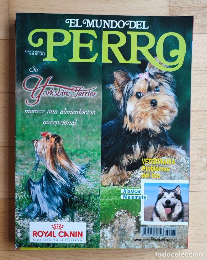 Coleccionismo de Revistas y Peri&oacute;dicos: REVISTA 'EL MUNDO DEL PERRO'. N&ordm; 285