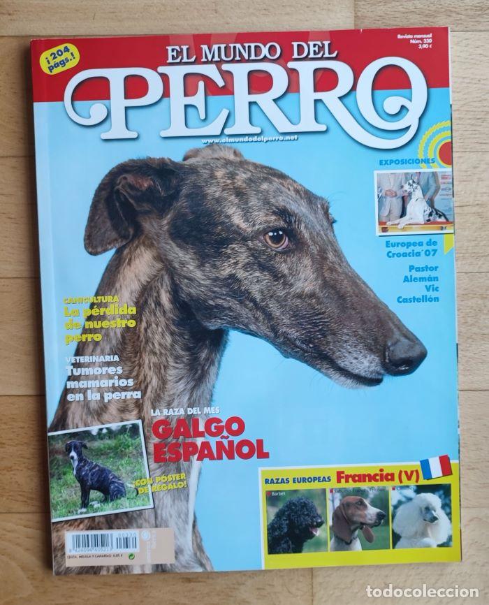 Coleccionismo de Revistas y Peri&oacute;dicos: REVISTA 'EL MUNDO DEL PERRO'. N&ordm; 330