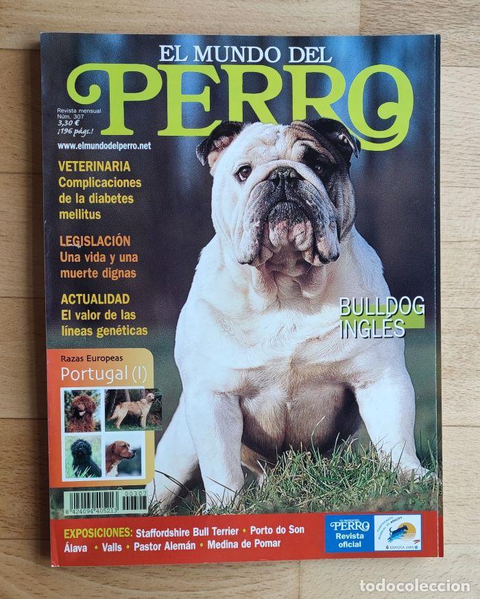 Coleccionismo de Revistas y Peri&oacute;dicos: REVISTA 'EL MUNDO DEL PERRO'. N&ordm; 307