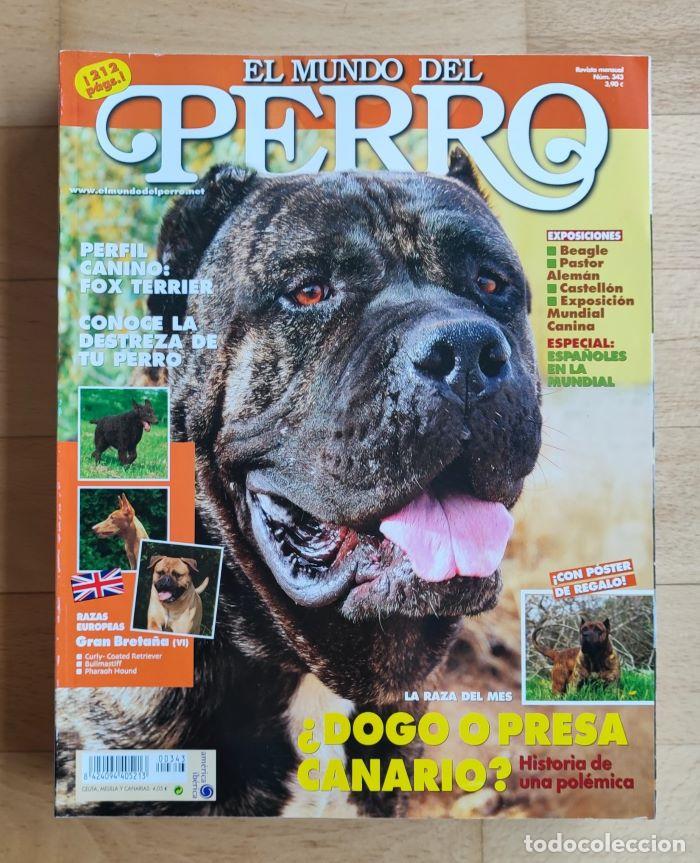 Coleccionismo de Revistas y Peri&oacute;dicos: REVISTA 'EL MUNDO DEL PERRO'. N&ordm; 343