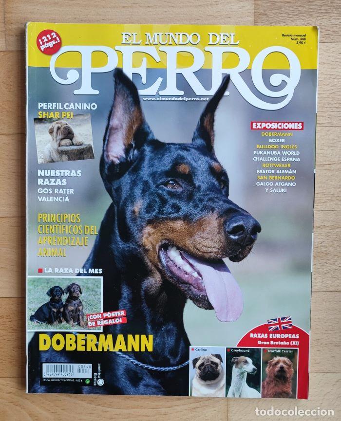 Coleccionismo de Revistas y Peri&oacute;dicos: REVISTA 'EL MUNDO DEL PERRO'. N&ordm; 348