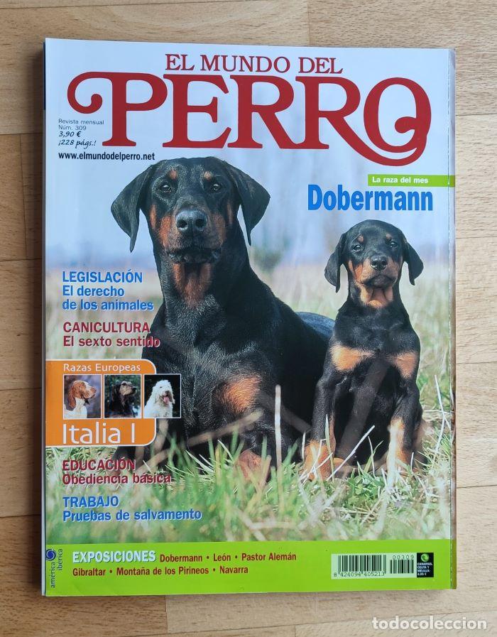 Coleccionismo de Revistas y Peri&oacute;dicos: REVISTA 'EL MUNDO DEL PERRO'. N&ordm; 309