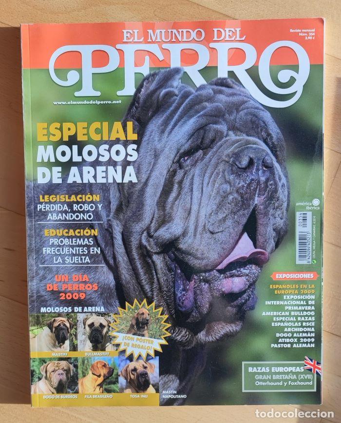 Coleccionismo de Revistas y Peri&oacute;dicos: REVISTA 'EL MUNDO DEL PERRO'. N&ordm; 354