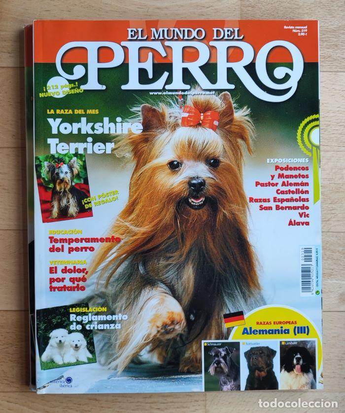 Coleccionismo de Revistas y Peri&oacute;dicos: REVISTA 'EL MUNDO DEL PERRO'. N&ordm; 319