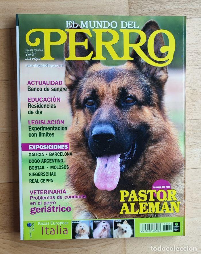 Coleccionismo de Revistas y Peri&oacute;dicos: REVISTA 'EL MUNDO DEL PERRO'. N&ordm; 310