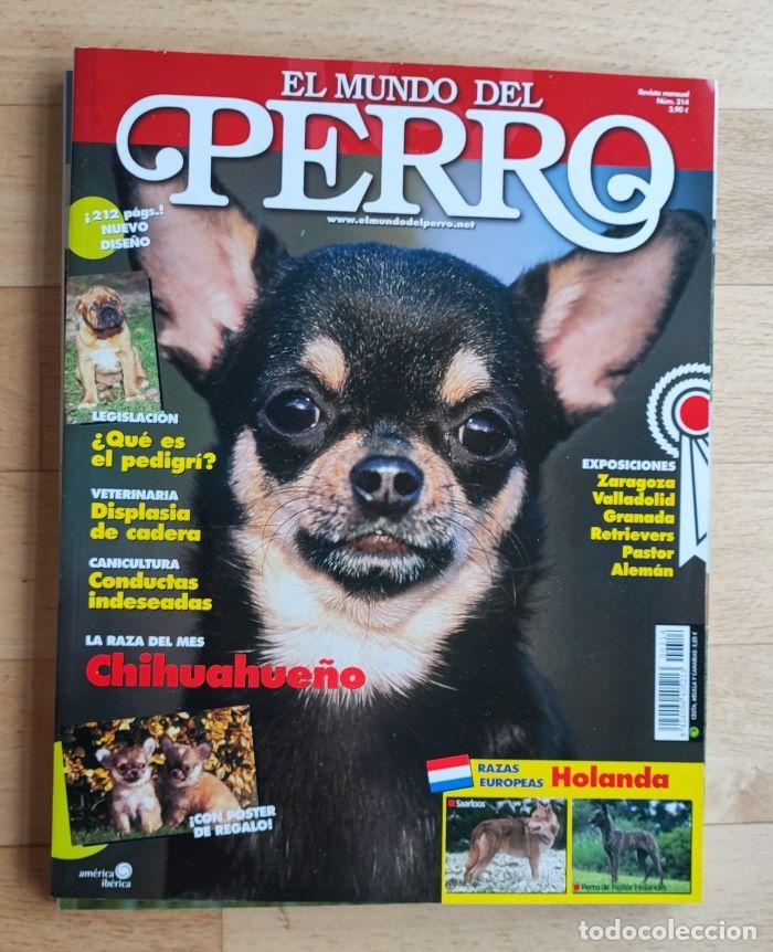 Coleccionismo de Revistas y Peri&oacute;dicos: REVISTA 'EL MUNDO DEL PERRO'. N&ordm; 314
