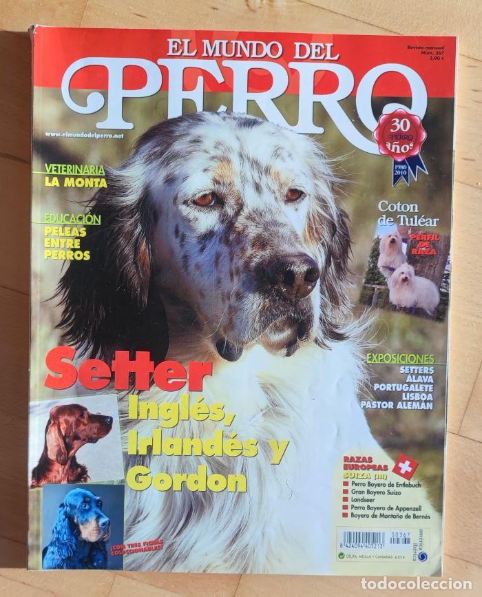 Coleccionismo de revistas y peri&oacute;dicos: REVISTA 'EL MUNDO DEL PERRO'. N&ordm; 367