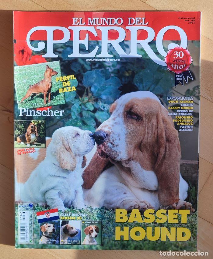 Coleccionismo de revistas y peri&oacute;dicos: REVISTA 'EL MUNDO DEL PERRO'. N&ordm; 363