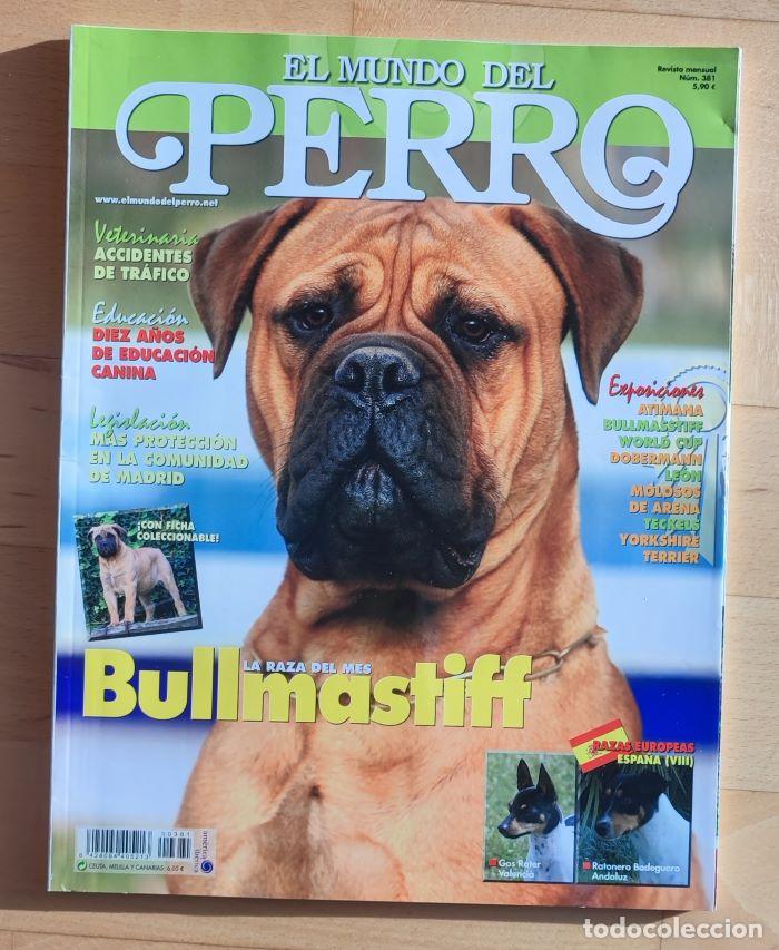 Coleccionismo de revistas y peri&oacute;dicos: REVISTA 'EL MUNDO DEL PERRO'. N&ordm; 381